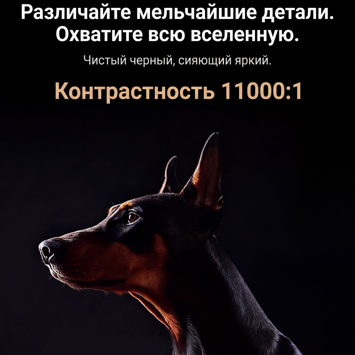 JMGO N5 Ultra Max — контраст 11000:1 и 4K